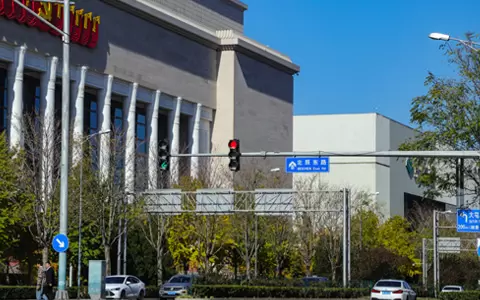 FAMA traffic smart light pole