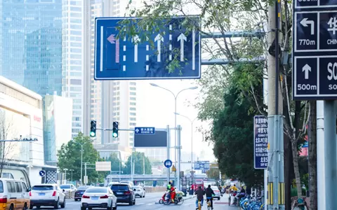 FAMA traffic smart light pole