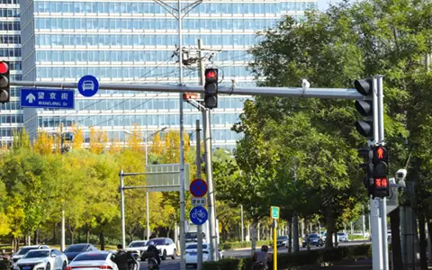 FAMA traffic smart light pole