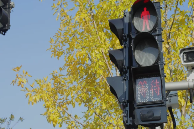 FAMA Audible Pedestrian Signals with Plastic Housing Reach Over 7,500 Units Sold in November, Deployed at More Than 1,000 Intersections